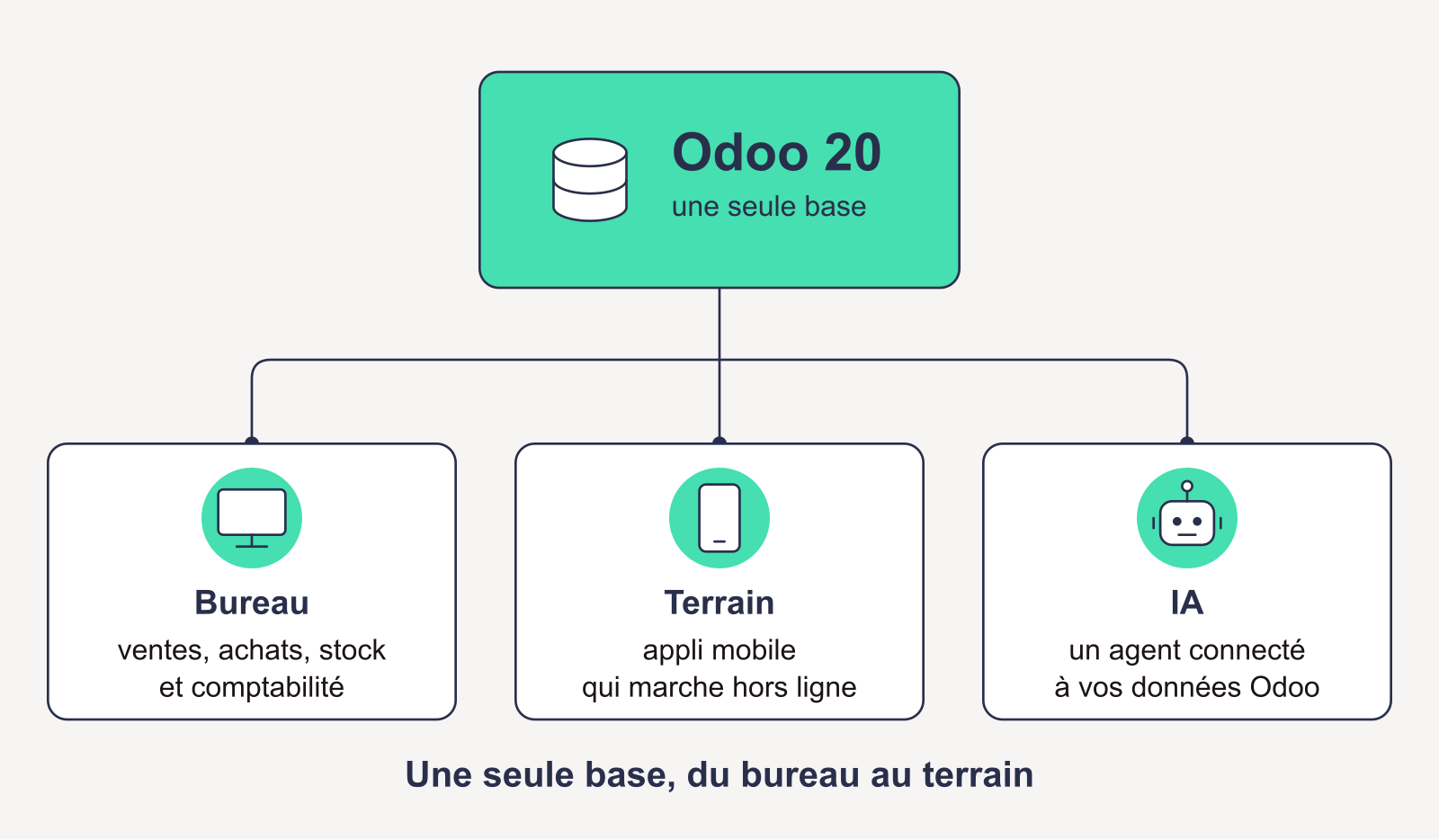 Schéma : une seule base Odoo 20 reliée au bureau, au terrain et à l'IA